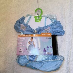 Charming Princess Toddler Dress in Blue